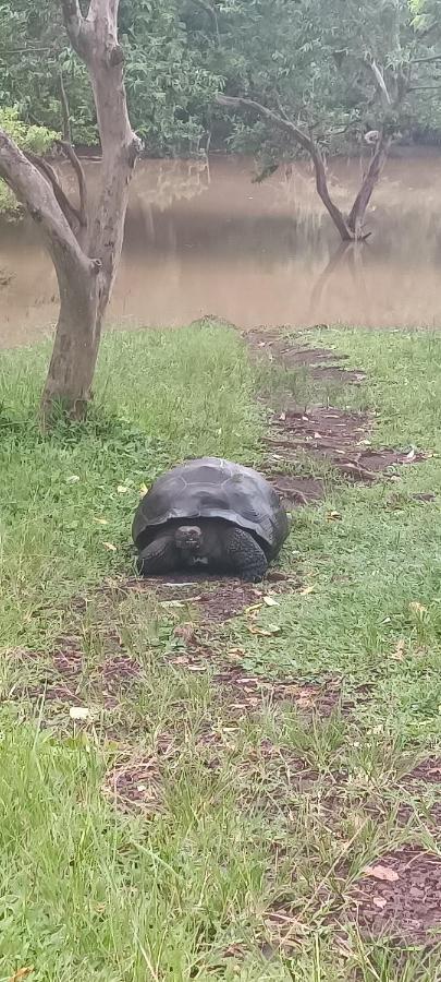 巴克里索莫雷诺港Mantarraya住宿加早餐旅馆 外观 照片